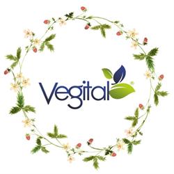 Vegital Szaküzlet