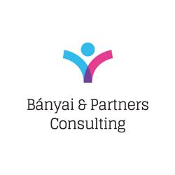 Bányai & Partners Consulting Kft