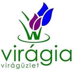 Virágia virág és ajándéküzlet
