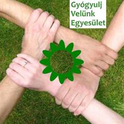Gyógyulj Velünk Egyesület