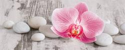 Orchidea Virág-Dekoráció