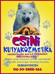 Csini Kutyakozmetika