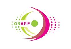 InfraTrainer és Grape Lakásfitnesz