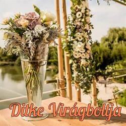 Ditke Virágboltja