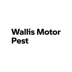 BMW AutoWallis Pest