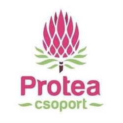 Protea Virágbolt és Koszorúsarok