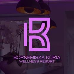 Bornemisza Kúria Wellness Apartman