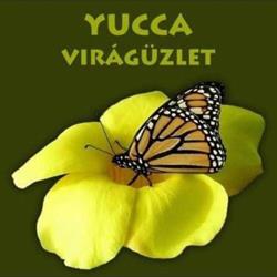YUCCA VIRÁGÜZLET
