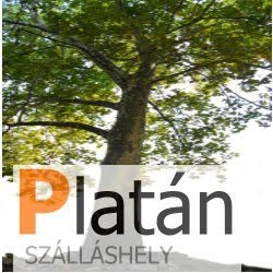 Platán Szálláshely