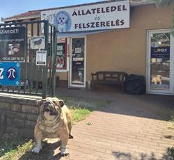 Zsepi Állateledel Bolt