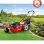 Big Wheeler 510 trike!
http://www.onlinebarkacsgeparuhaz.hu/termekek/funyirok/big-wheeler-510-trike-p23.html