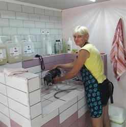 Bi-jó kutyakozmetika