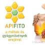 Látogató által feltöltött 2018. 02. 13.