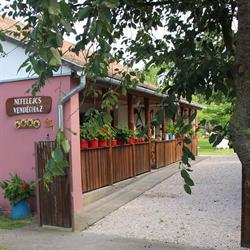 Nefelejcs Vendégház