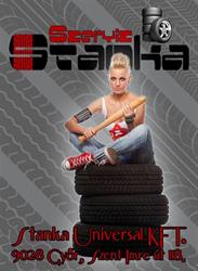 Stanka Szerviz
