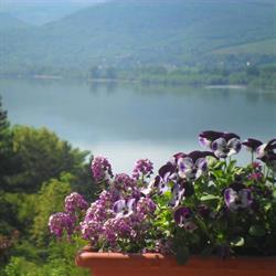 Holiday Apartmanház