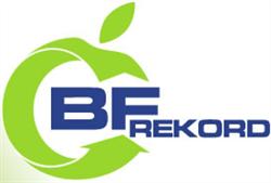 BF Rekord Kft.