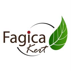 Fagica-Kert Kft