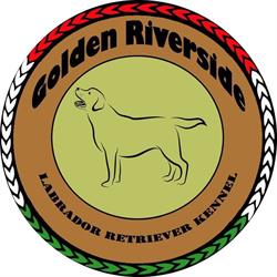 Golden Riverside Kennel