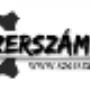 Szerszám Webáruház - Elektromos gépek, kerti szerszámok, kéziszerszámok, Szerszám Shop