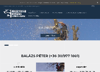 Veszélyes fák kivágása - Balázs Péter honlapja