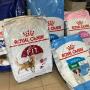 Royal canin