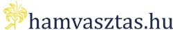 Hamvasztás