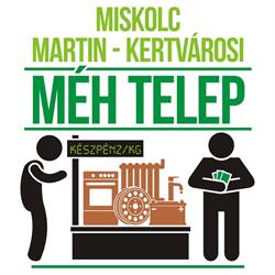 Miskolc Martin-kertvárosi MÉH telep