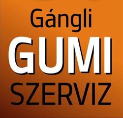 Gángli Gumiszerviz
