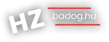 Horváth Zoltán bádogos tetőfedő e.v