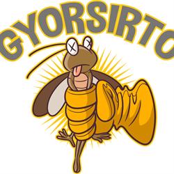 Gyorsirtó