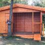 Kutya kennel