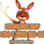 Kenguru Boy Futarcom Futárszolgálat