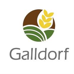 Galldorf Zrt.