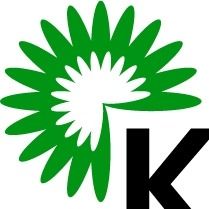 Kővári Krizantém Kft.