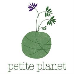 Petite Planet Kokedama