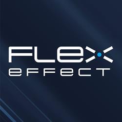 FLEXEFFECT KFT.