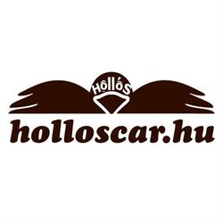 Hollós Szervíz