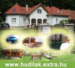 Hudi-Lak
