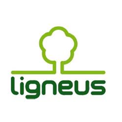 Ligneus Faipari Kft. - Lapszabászat és Bútorlap, Munkalap, Kompaktlemez