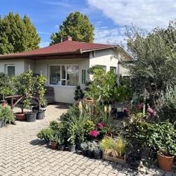 Pécs Karancsi Kertészet