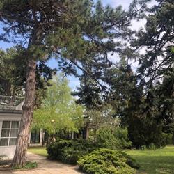 Balatonalmádi Akadémiai Üdülő