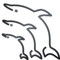Delfin Ultrahang