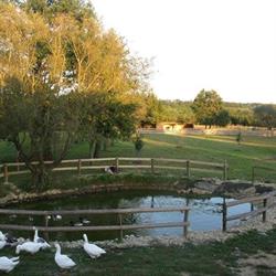 Fürge Róka Porta hostel