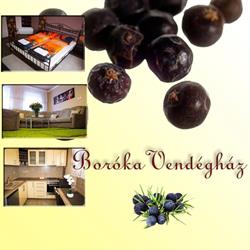 Boróka Vendégház
