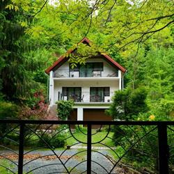 Páfrányos Vendégház (apartmanok), Velem