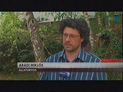 Dr. Aradi Miklós állatorvos