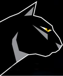 Cool-Panther Kft.