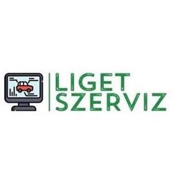Liget Szerviz Bt.
