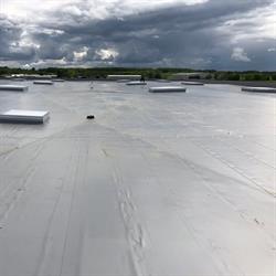 Insupro Kft